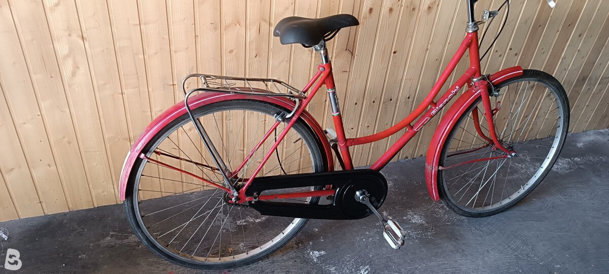 Bianchi regina 1992
