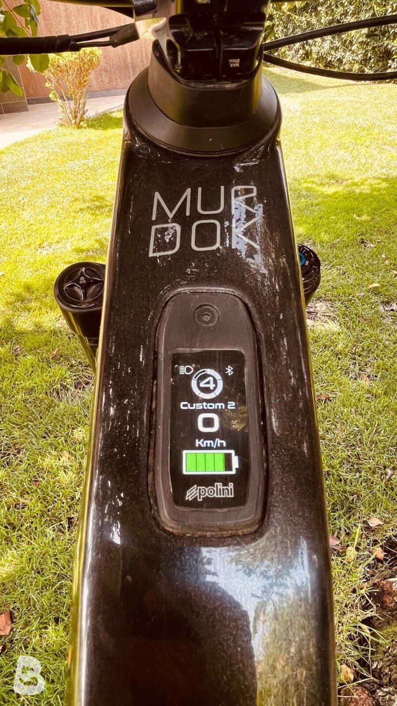 Olympia Murdok 2024