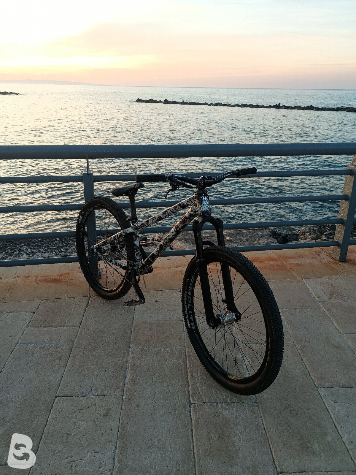 GreenBike scope 2020