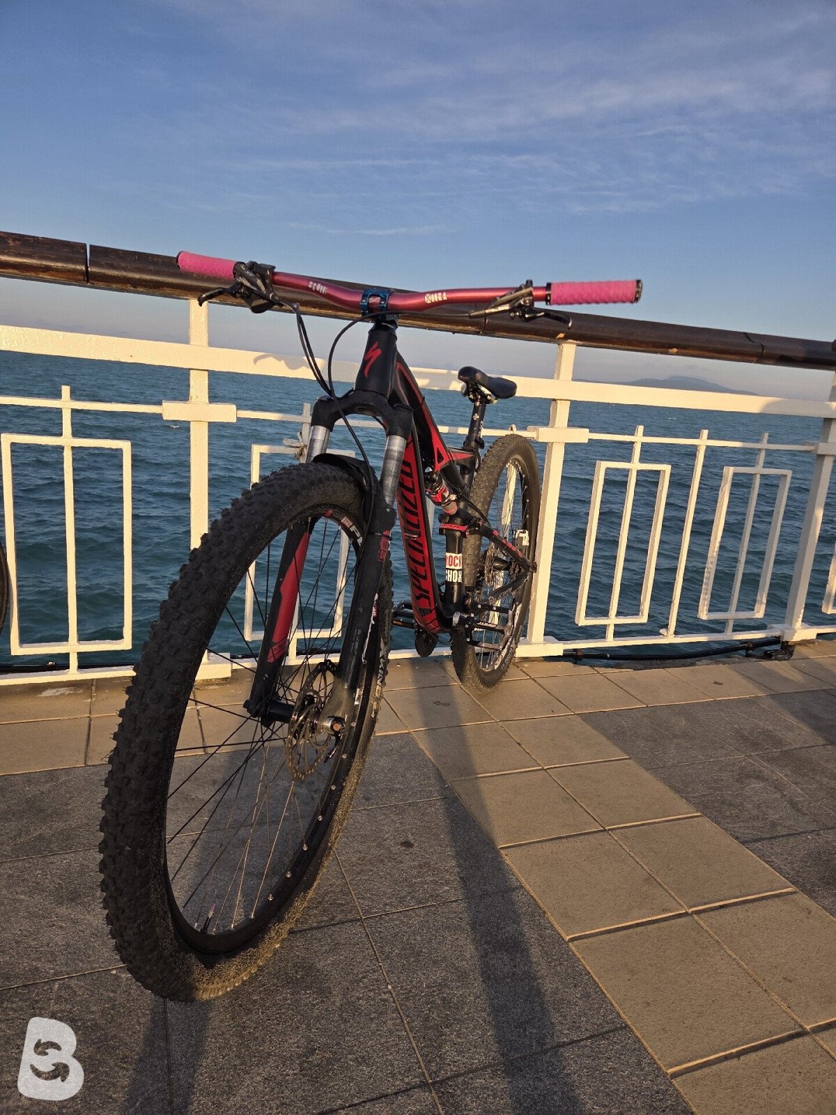 Specialized Camber 2021