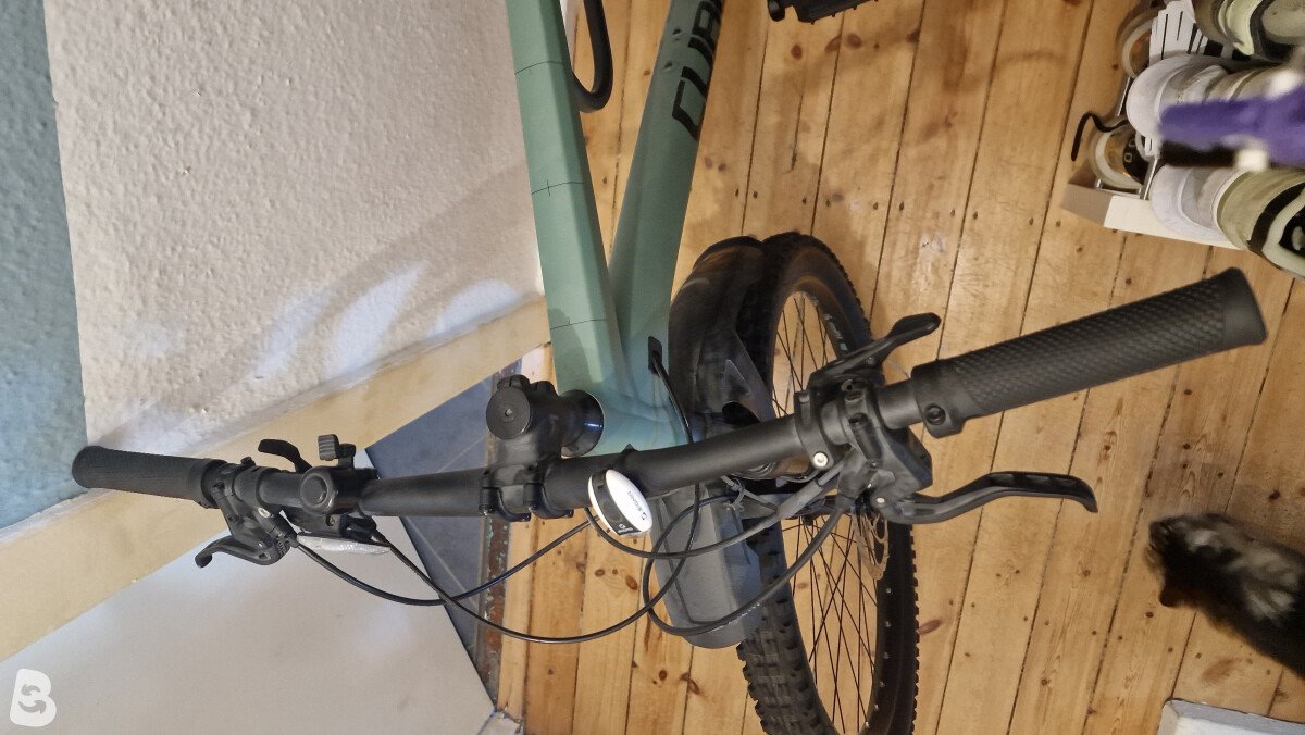 Cube Bikes Reaction TM 2022