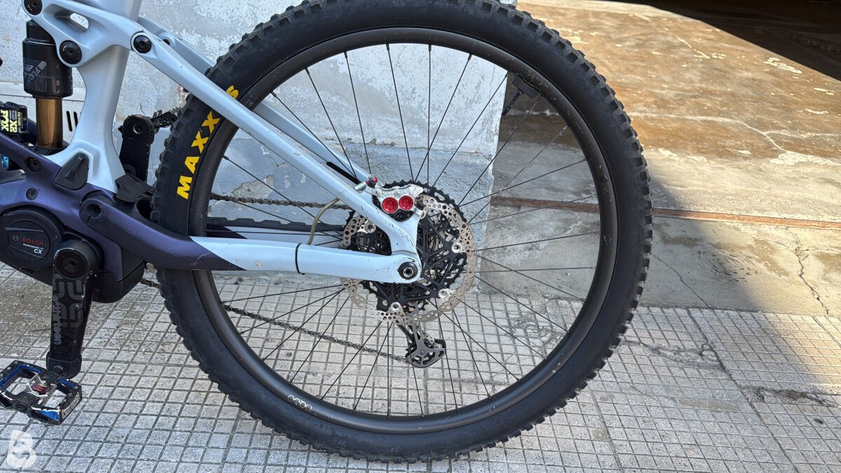Orbea WILD M-LTD 2023