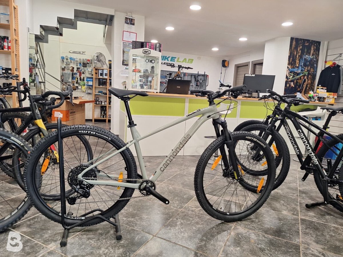 Cannondale Trail 1 2026