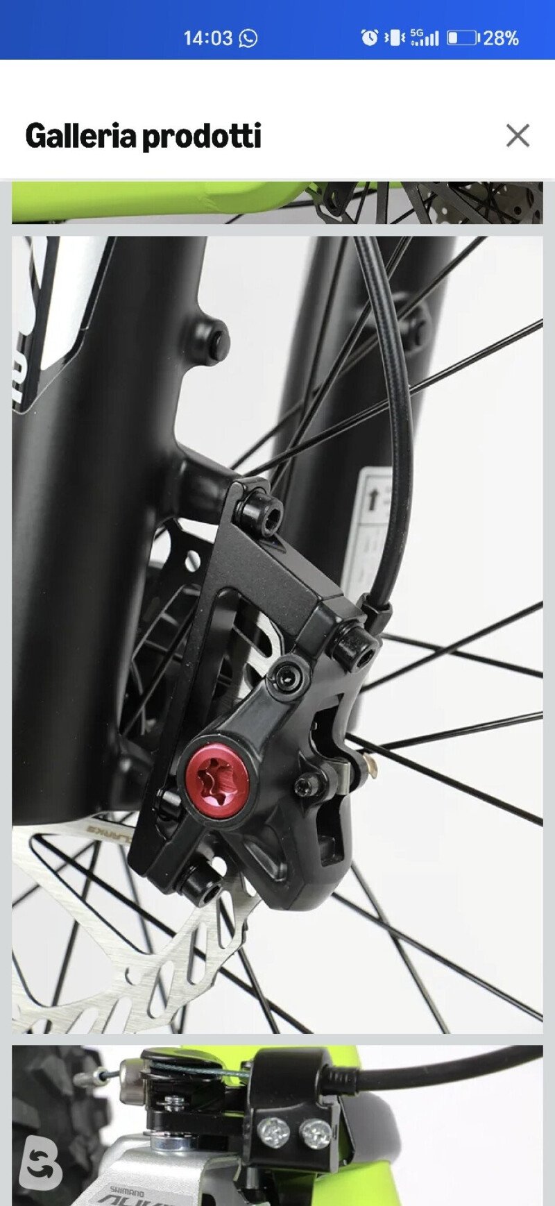 Head X-Rubi 1.0 2023