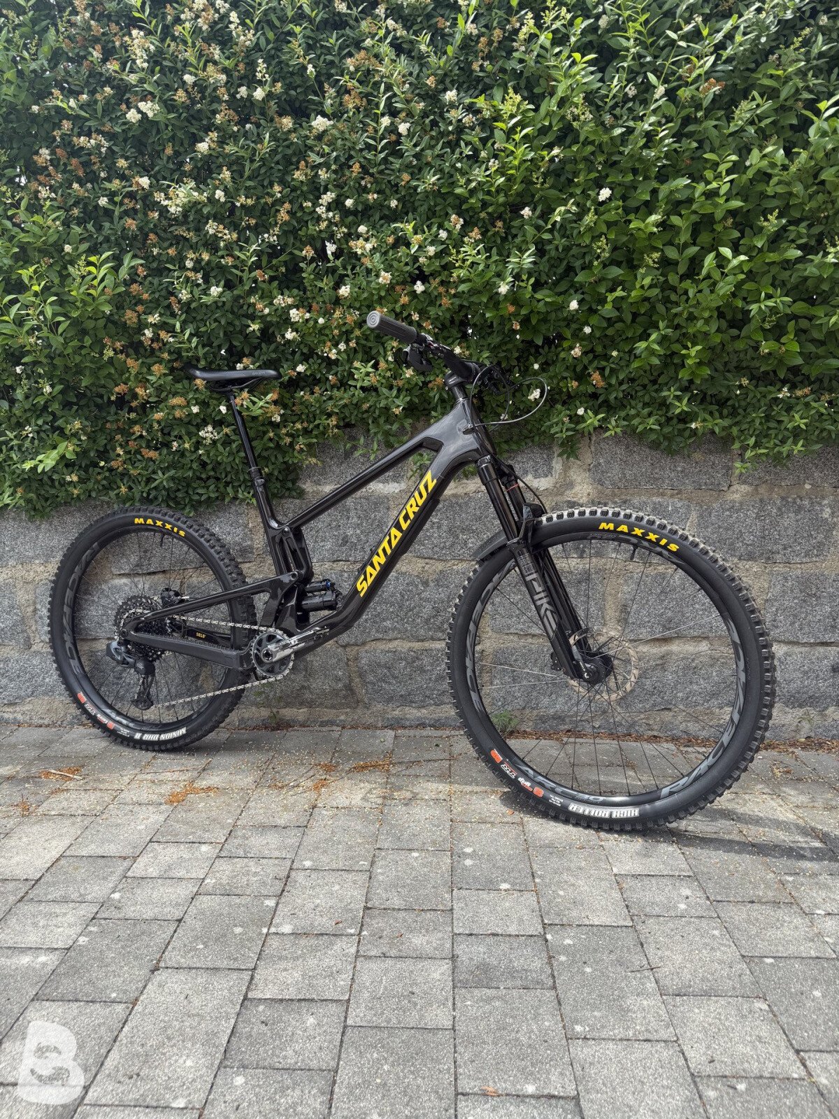 Santa Cruz 5010 2024