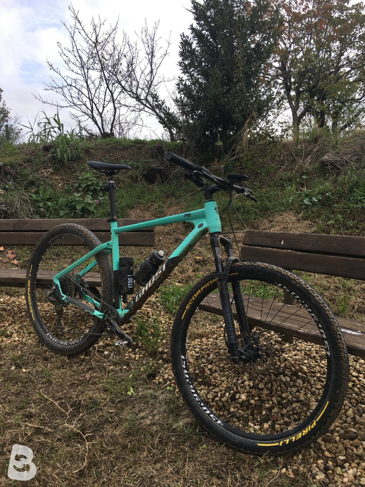 Ghost Kato Pro 29 2024