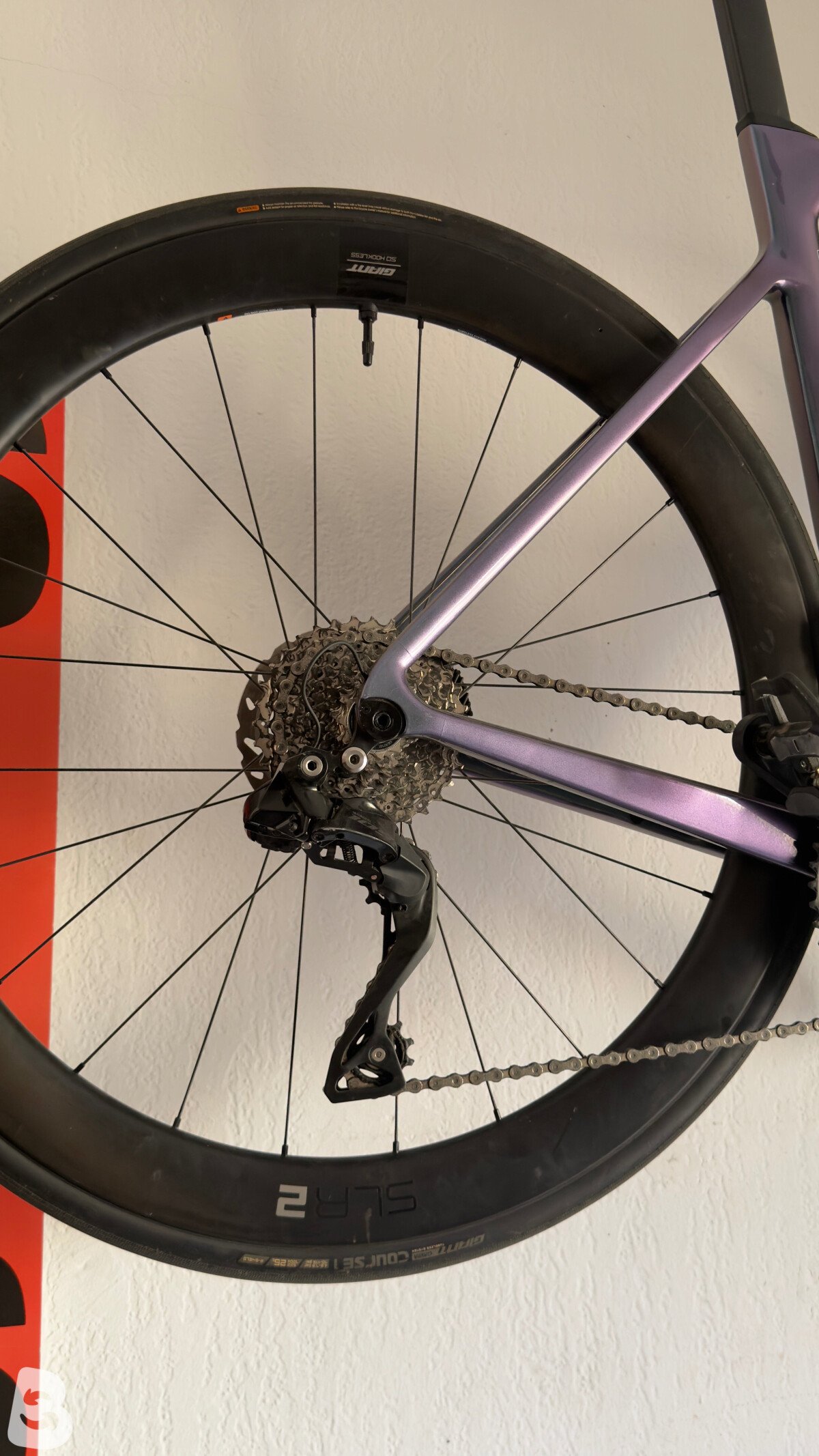 Giant Propel, Advanced 1 2024