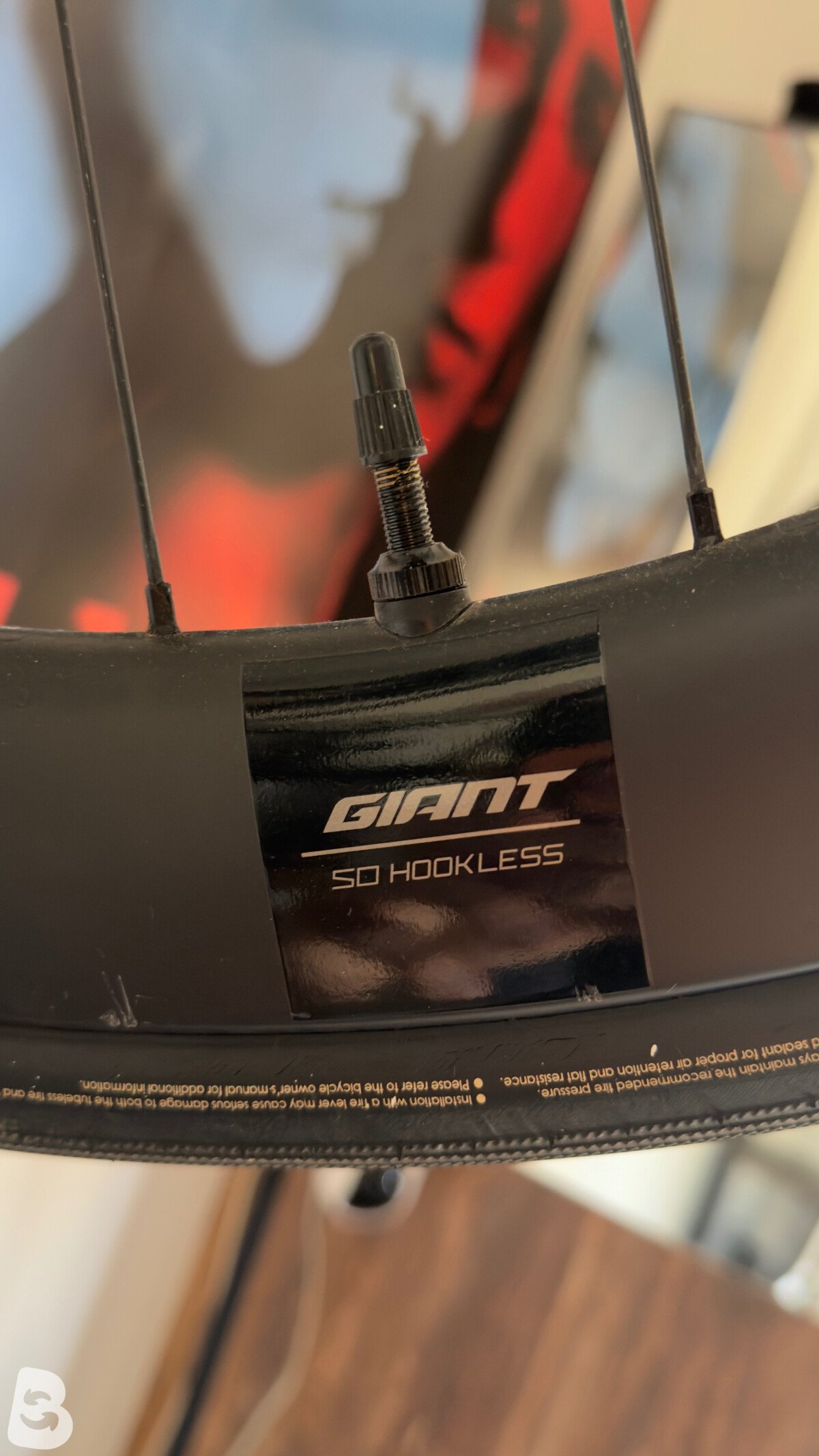 Giant Propel, Advanced 1 2024
