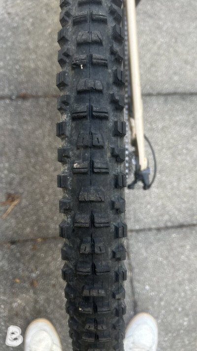 Canyon Spectral 29 AL 5 2023