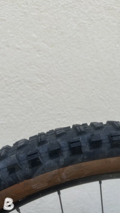 Canyon Spectral 29 AL 5 2023