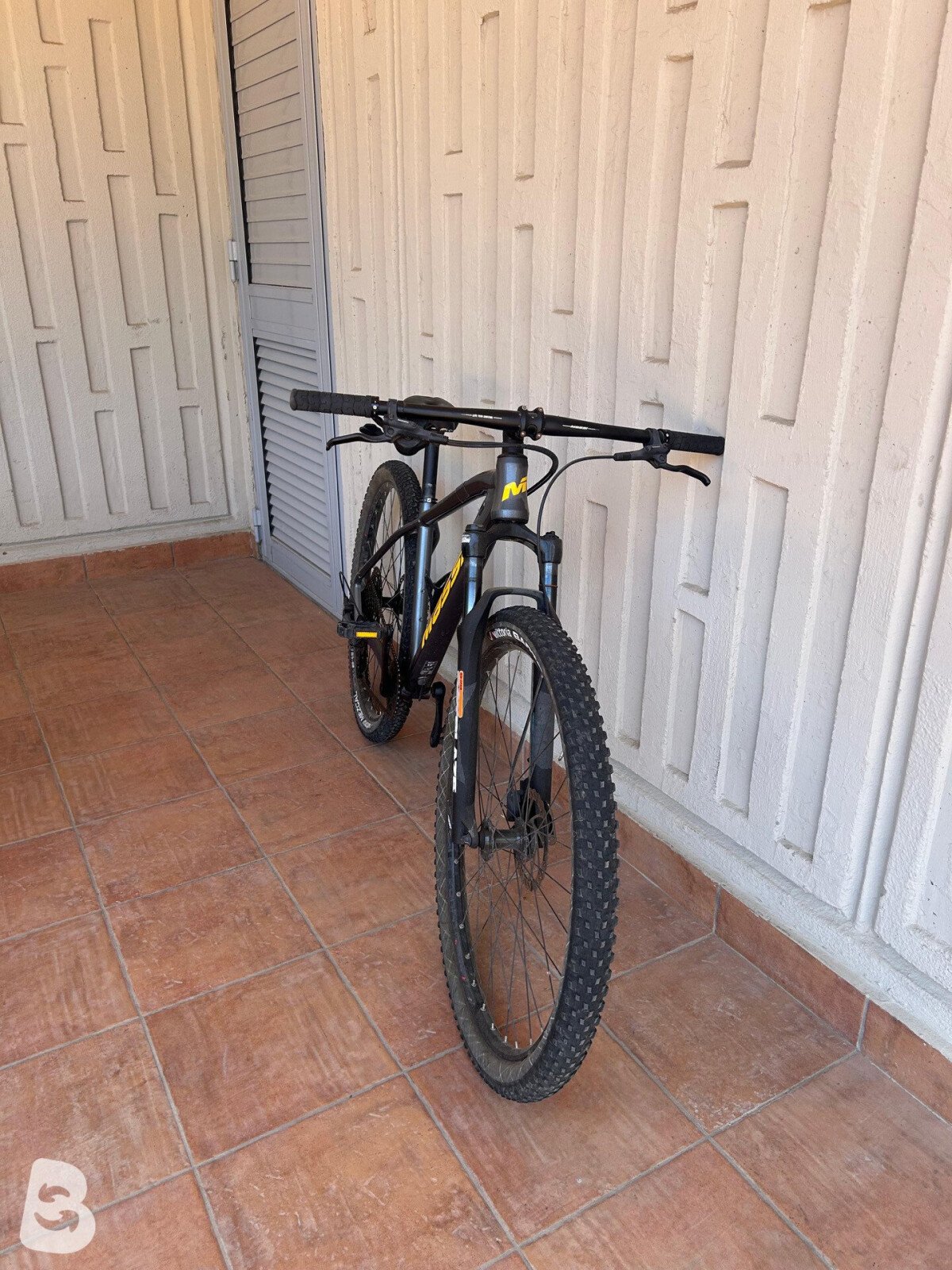 Massi Trax 2022
