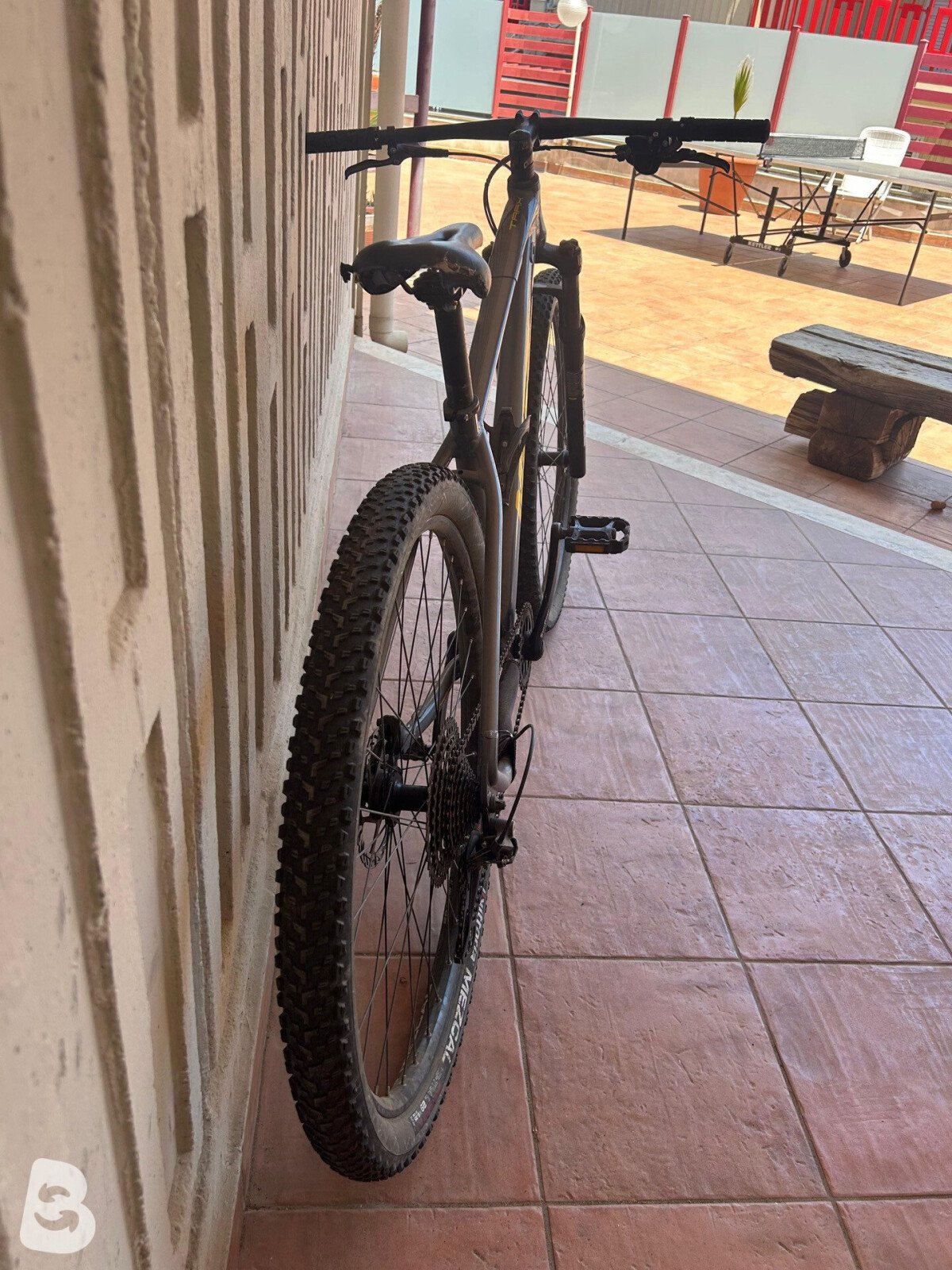 Massi Trax 2022