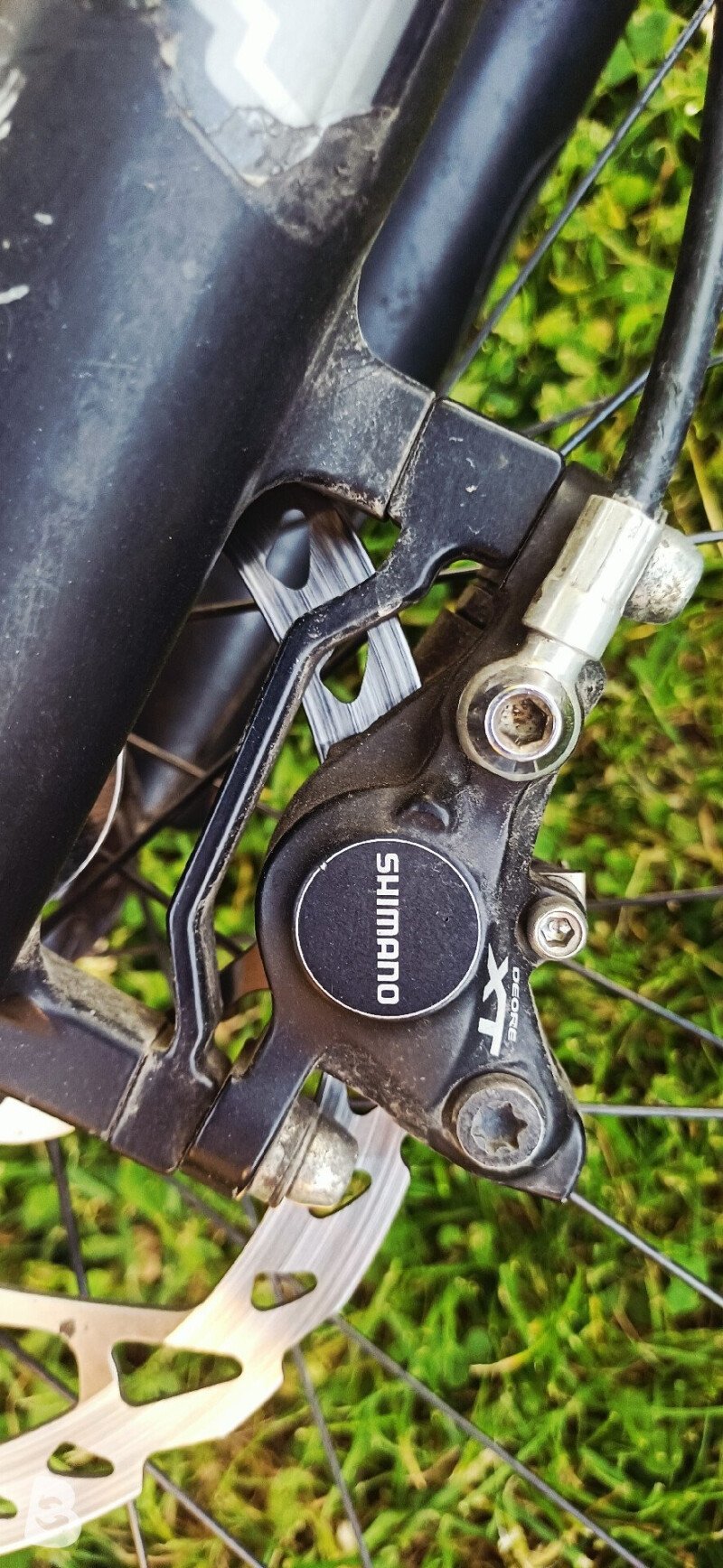 Specialized Safire 2013
