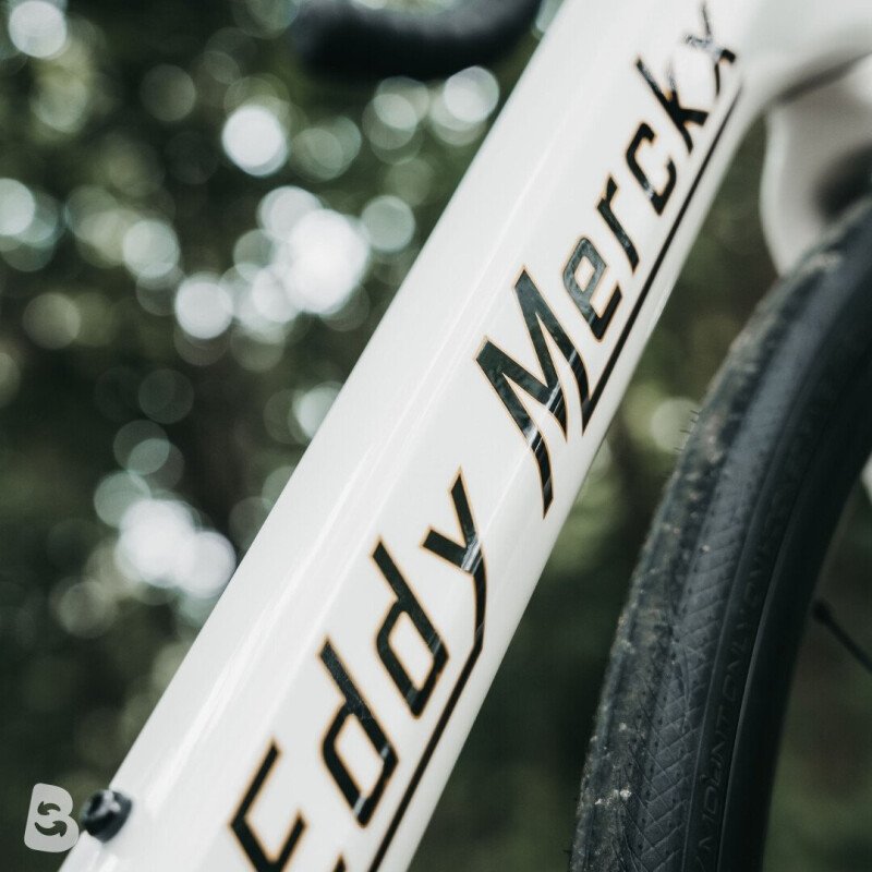 Eddy Merckx Mendrisio