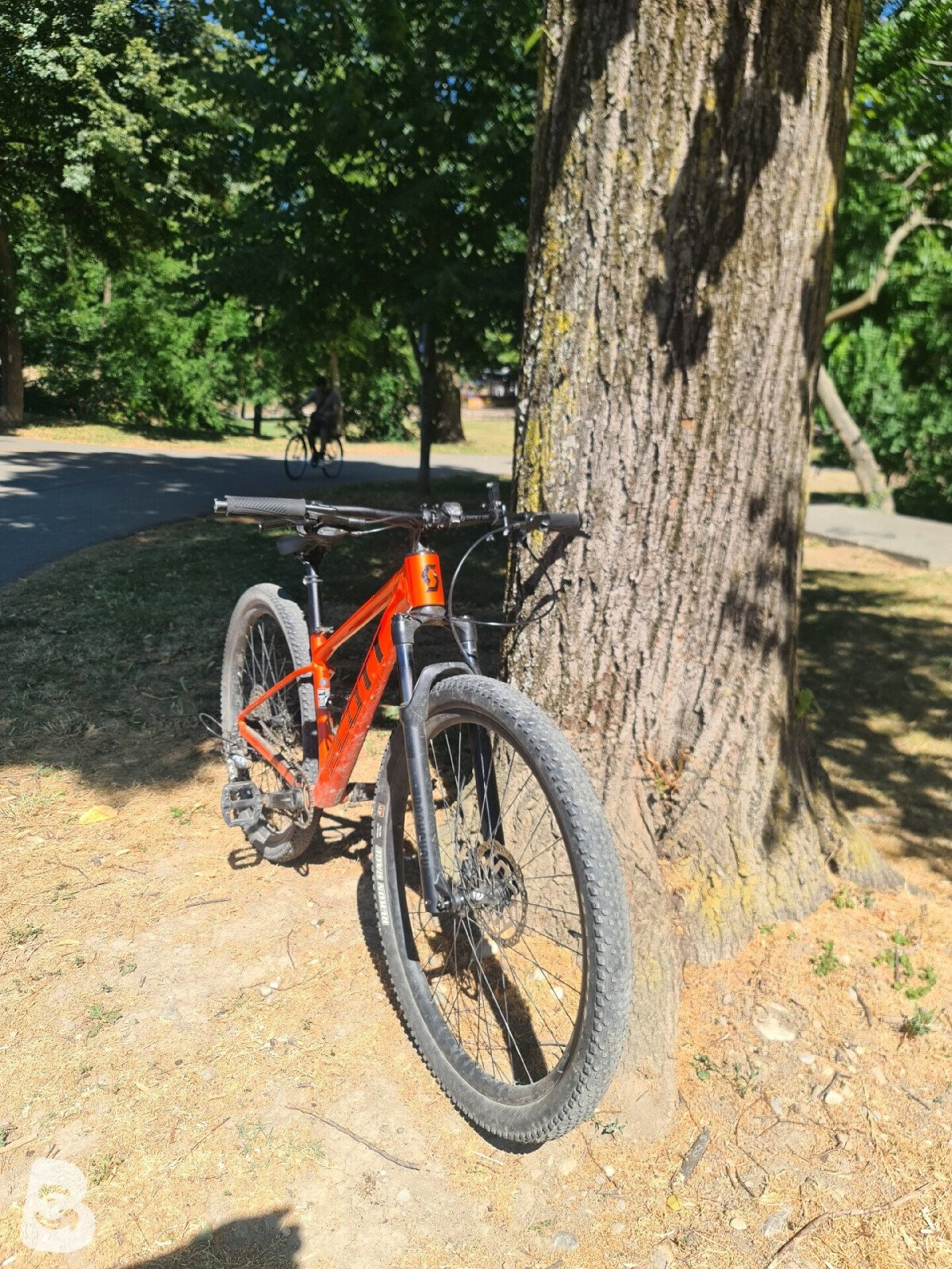 Scott Scale 970 2025
