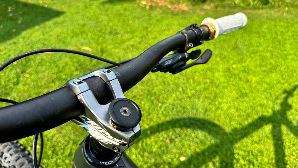 Trek Remedy 8 Custom 2020