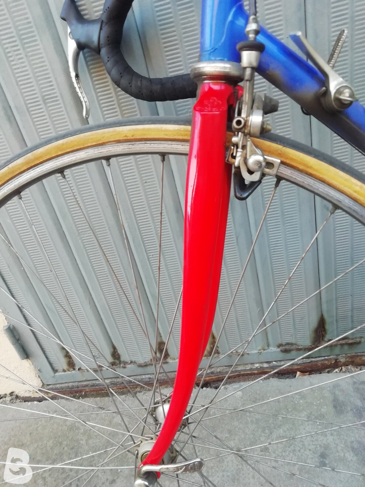 Ciocc crono 1981