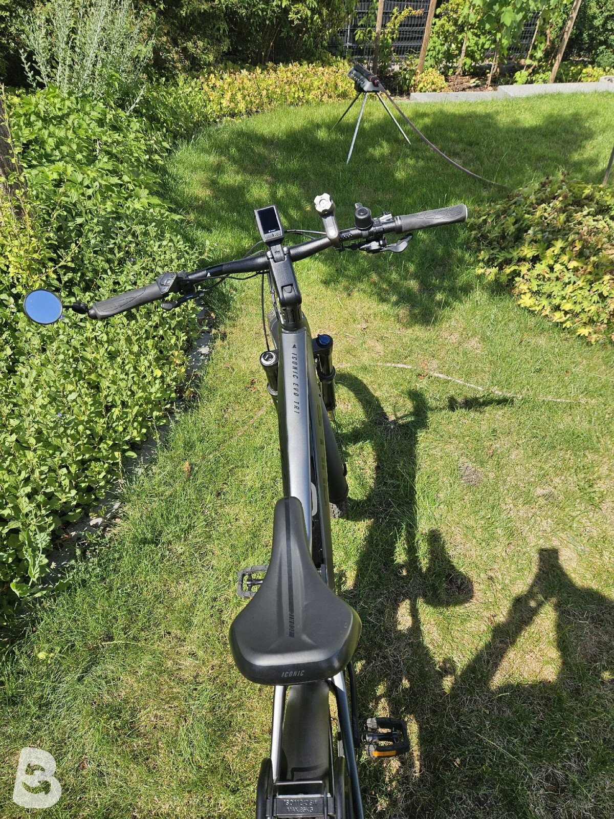 Bulls Iconic EVO TR 1 2020