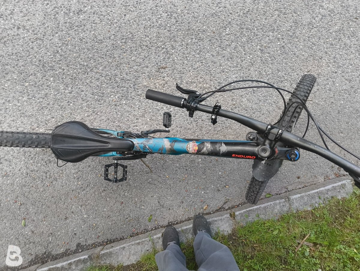 Specialized Enduro Elite 29 2017