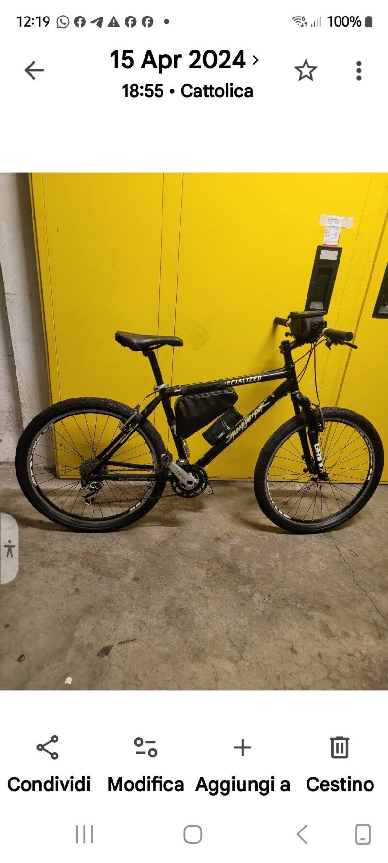Specialized Stumpjumper 2005