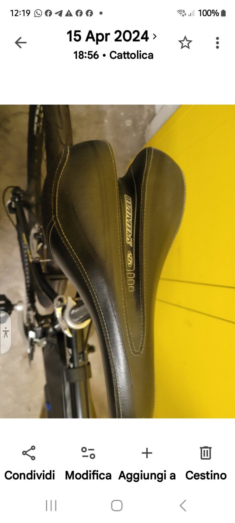 Specialized Stumpjumper 2005