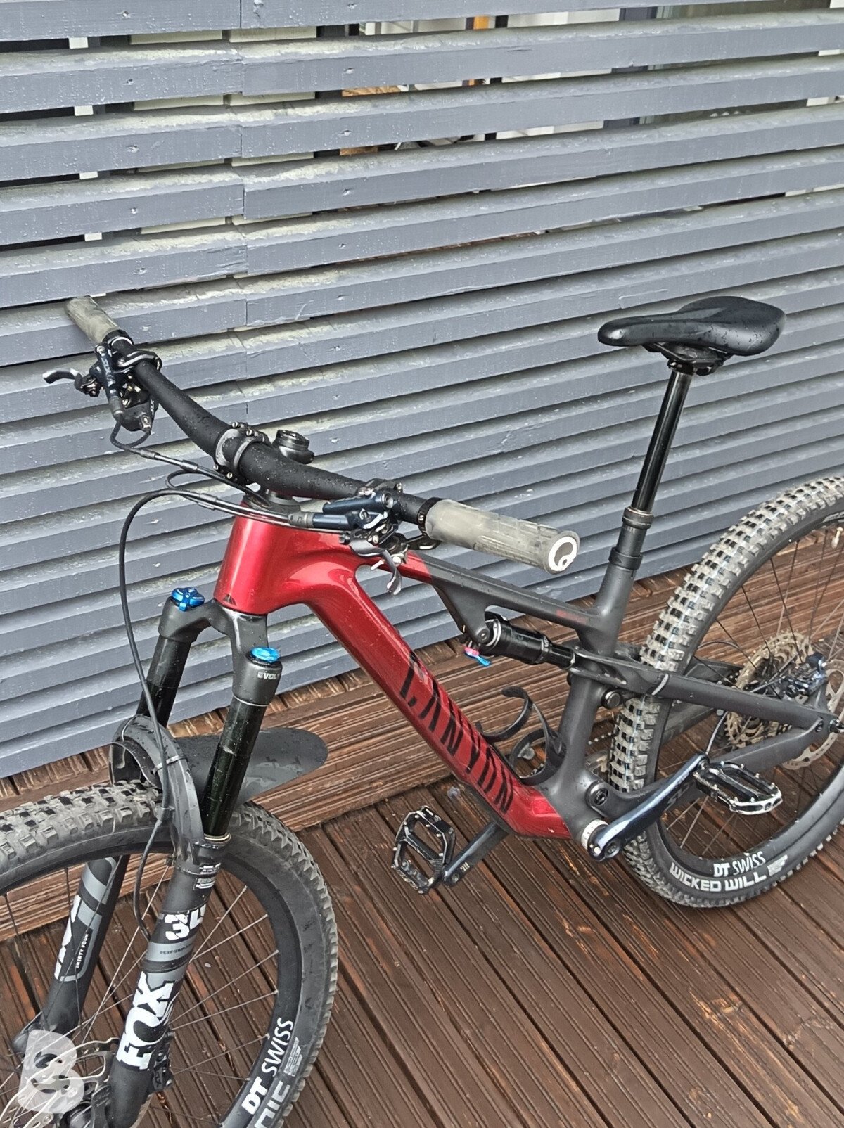 Canyon Neuron CF 8 2024