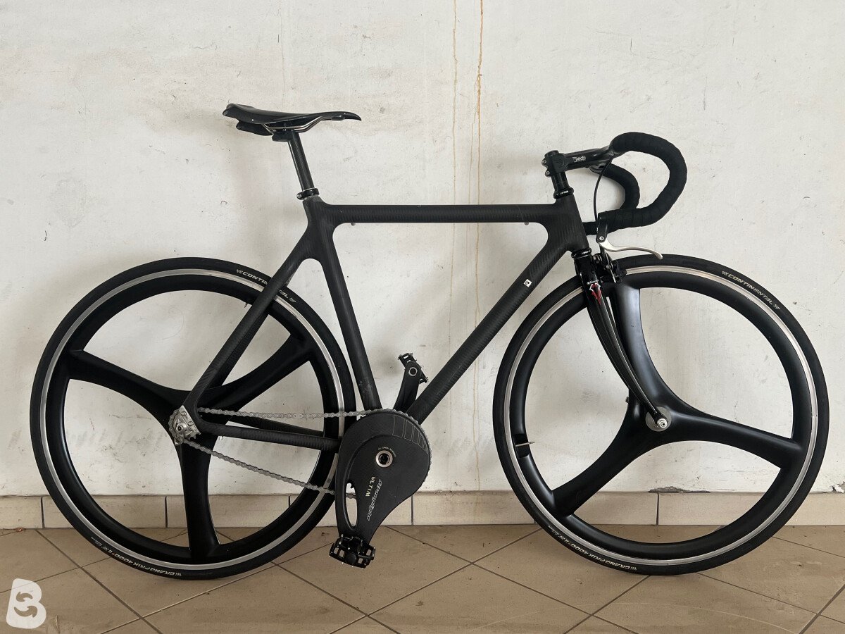 Fixed carbon race 2017