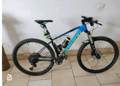 Torpado Ribot n 2021