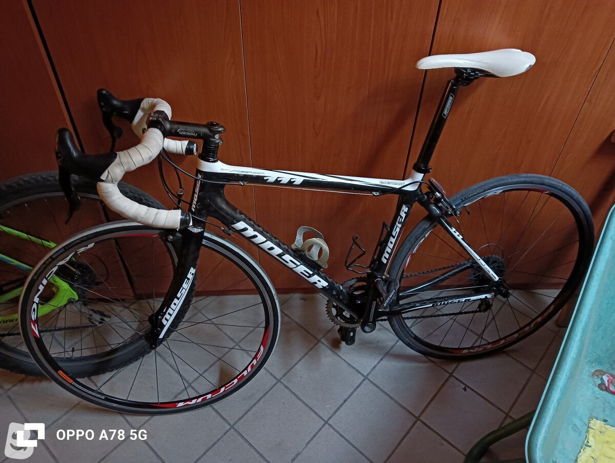 Moser 111 2011