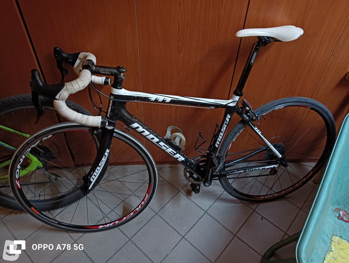 Moser 111 2011