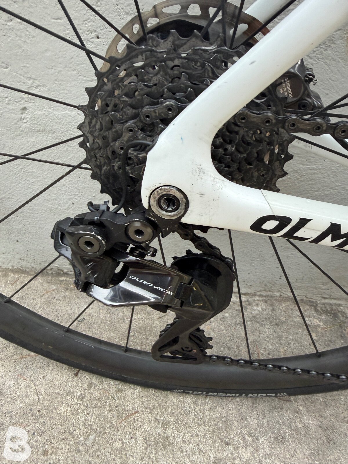Olmo Nerax 2022