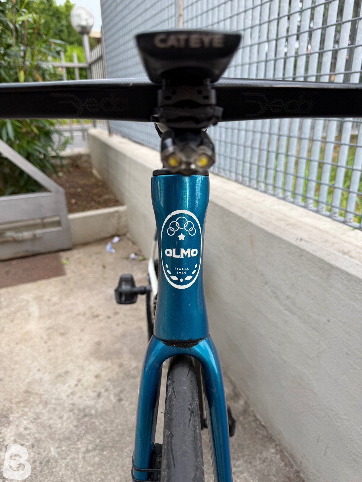 Olmo Nerax 2022