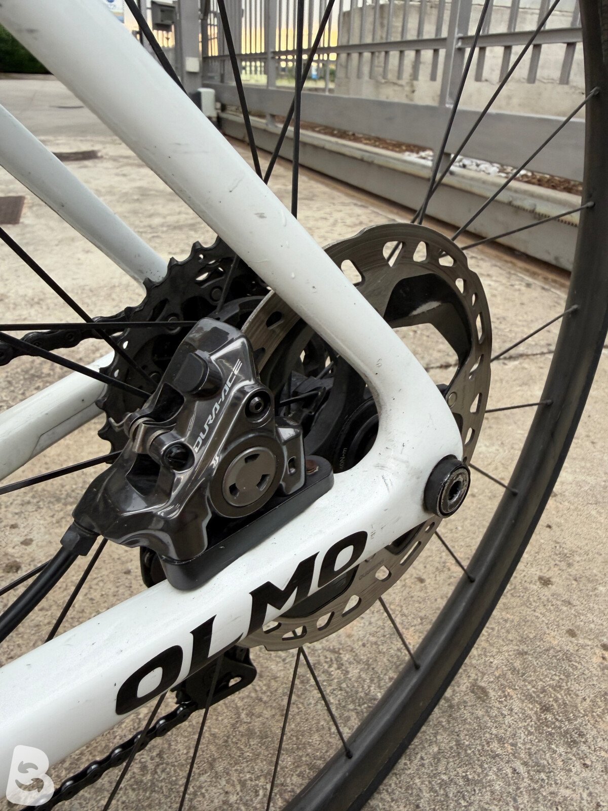 Olmo Nerax 2022