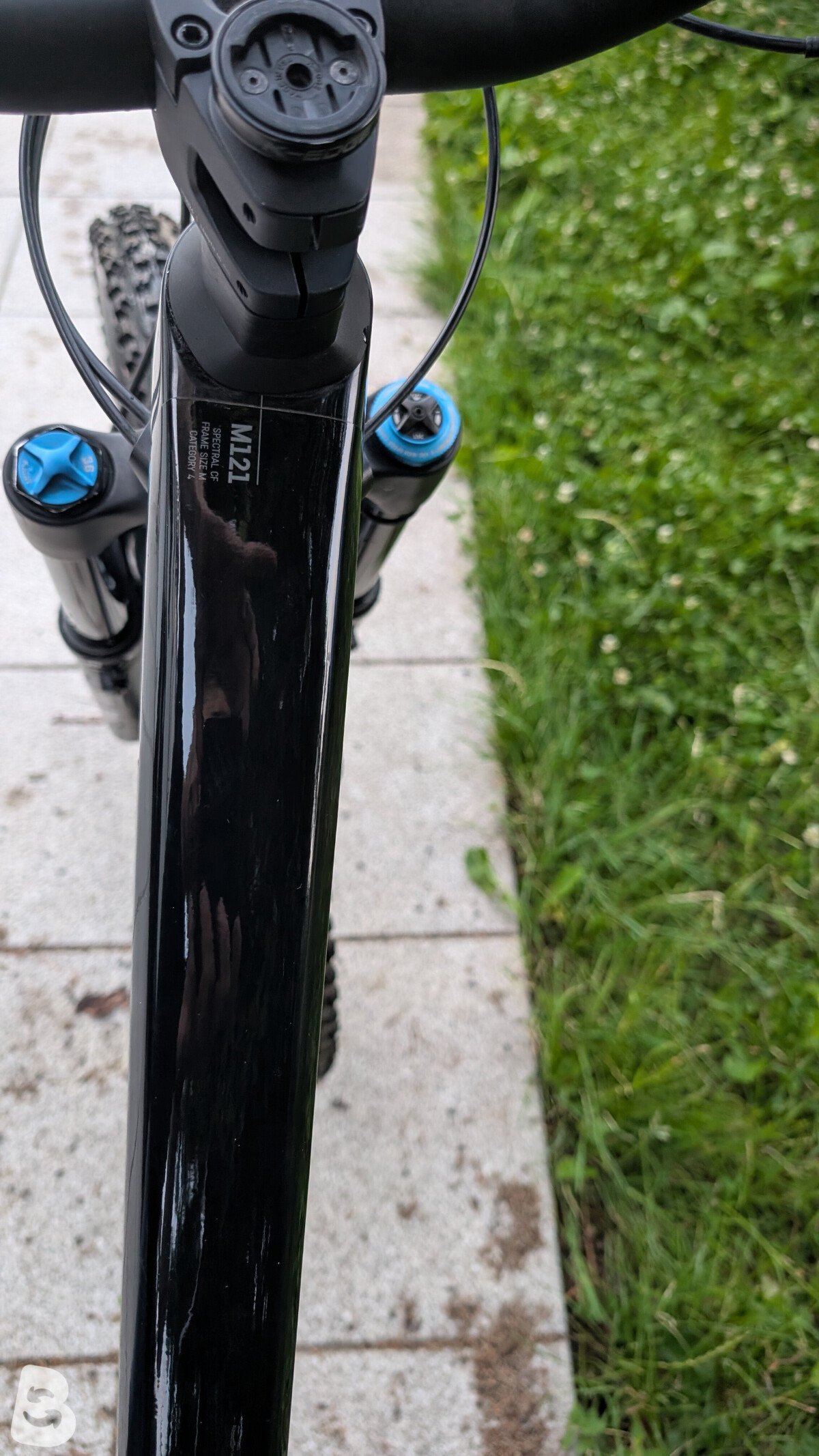 Canyon Spectral 29 CF 8 2021
