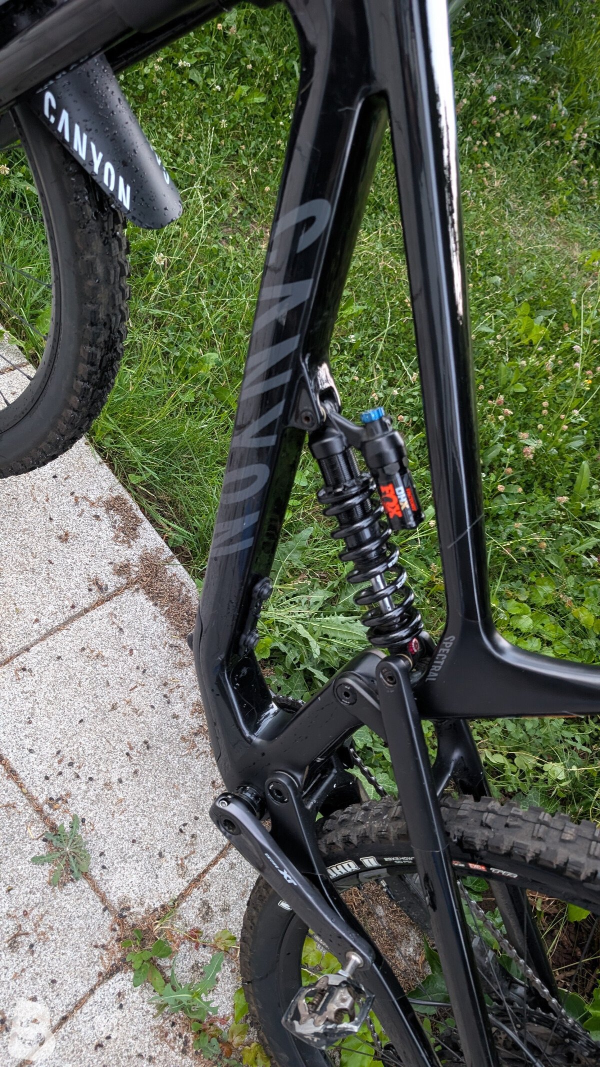 Canyon Spectral 29 CF 8 2021