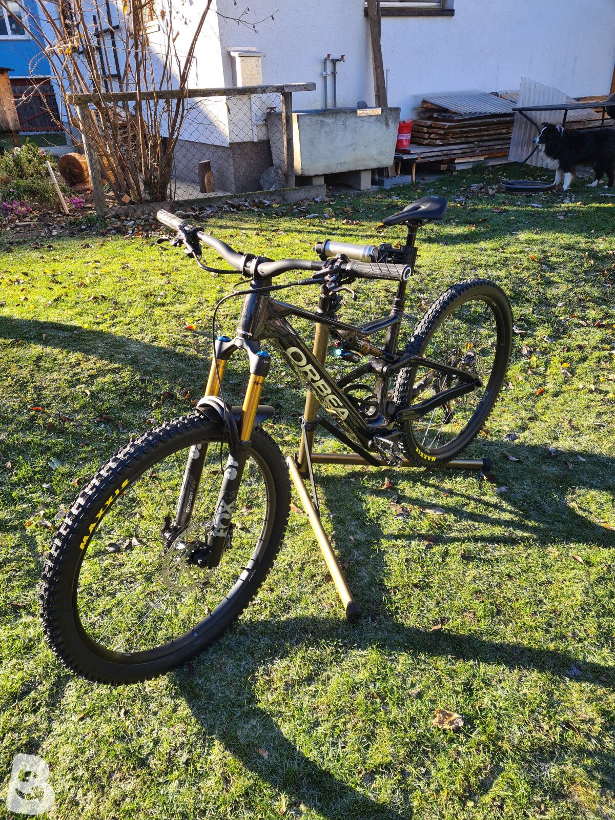 Orbea RISE M10 2025