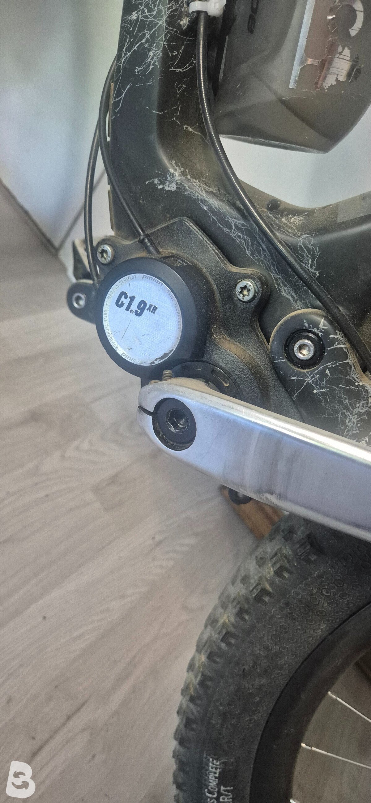 Zerode Taniwha 2024