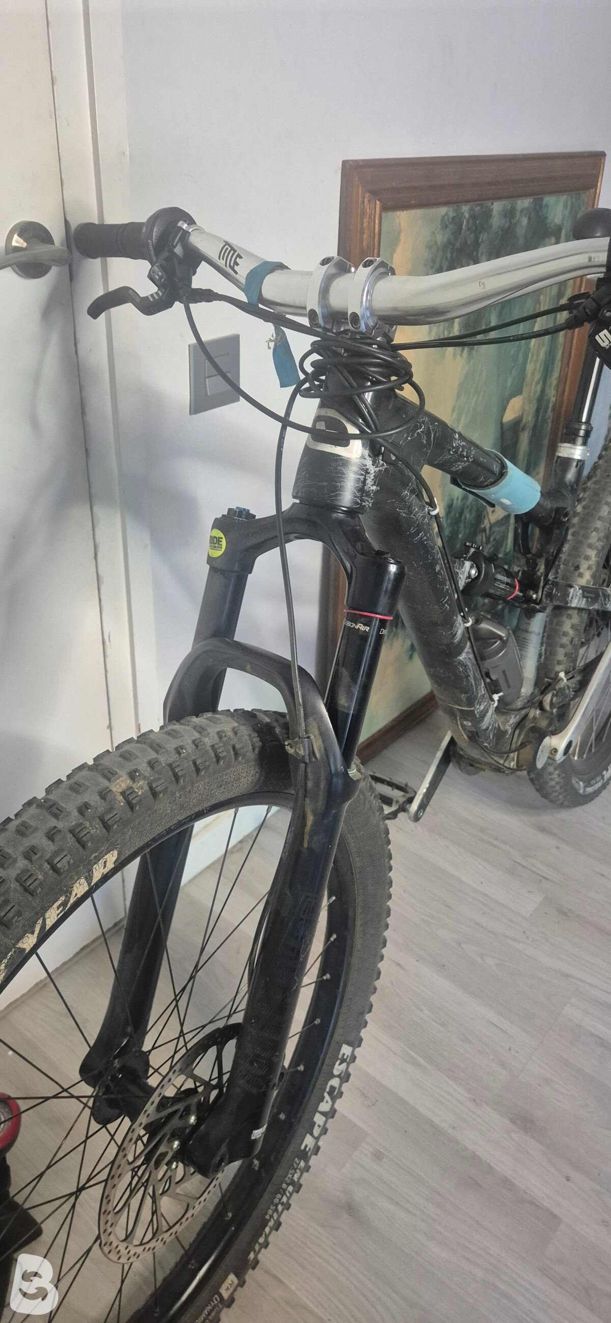 Zerode Taniwha 2024