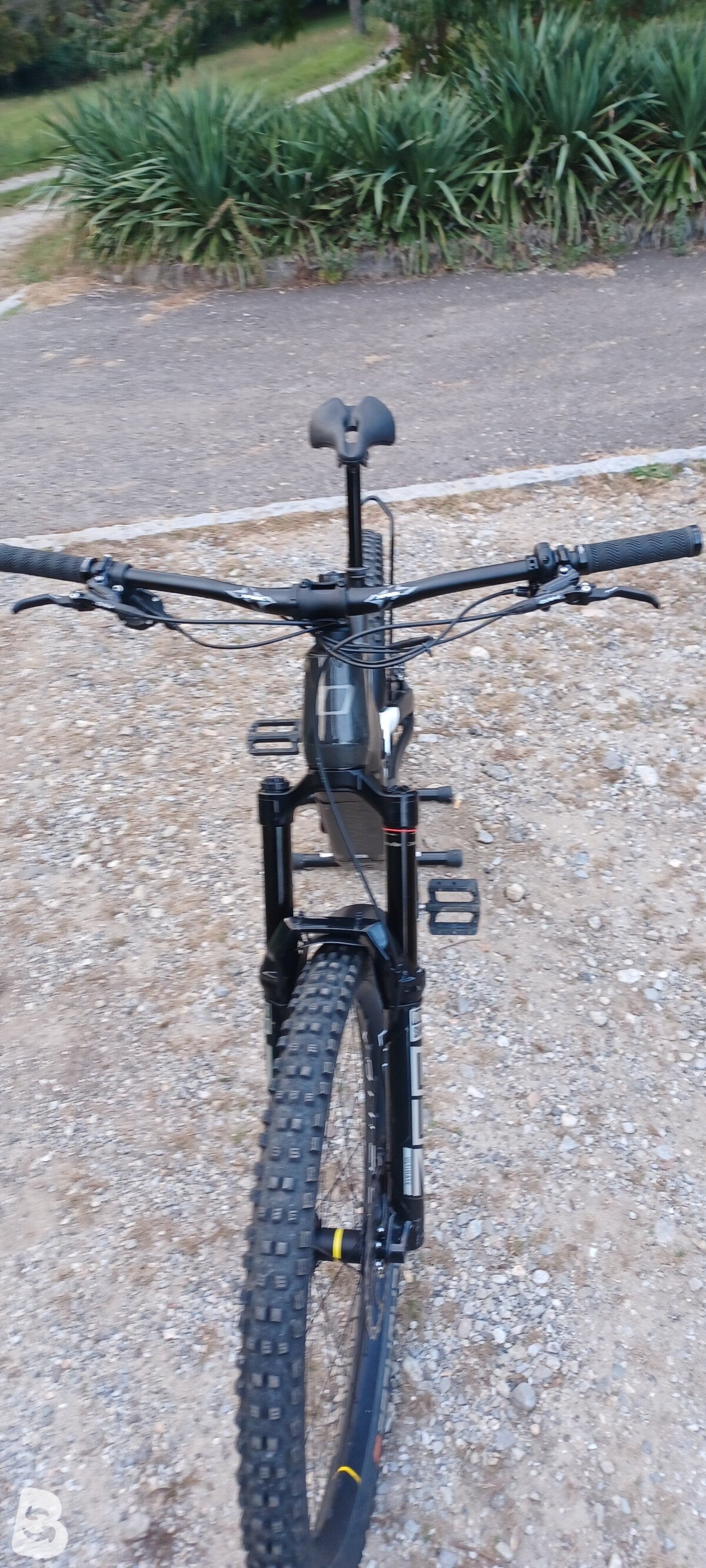 Olympia HAMMER 2023