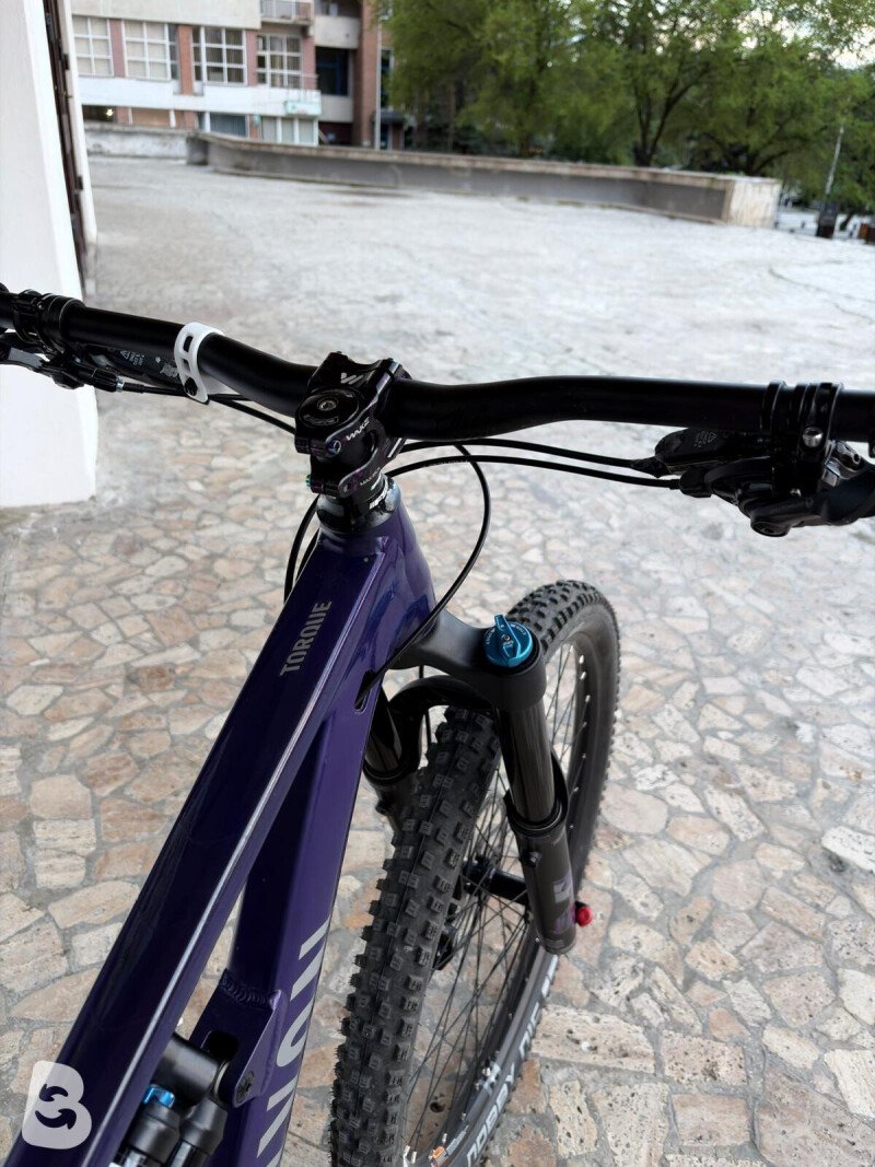 Canyon Torque 29 AL 6 2023