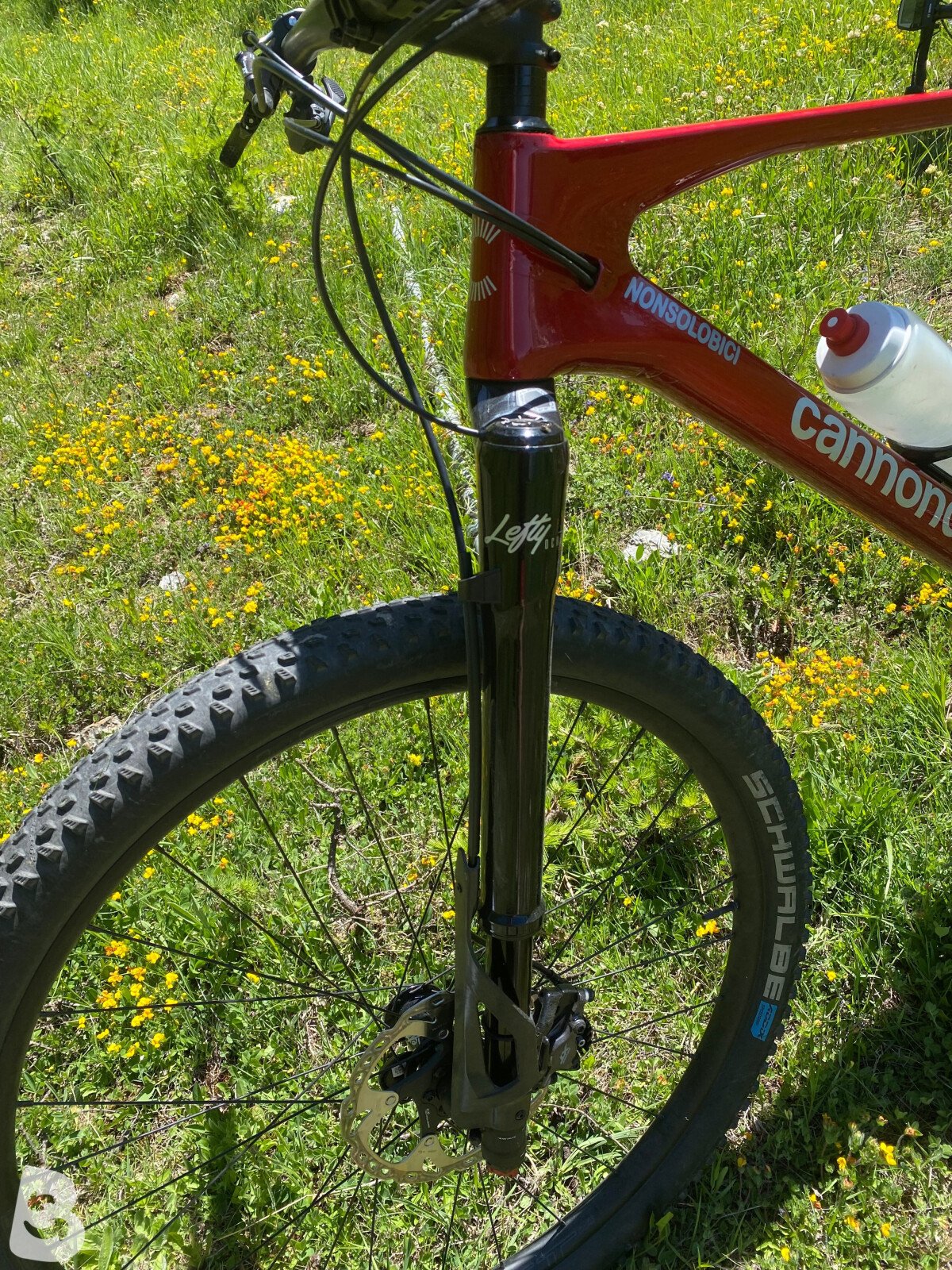 Cannondale Scalpel HT Carbon 2 2022