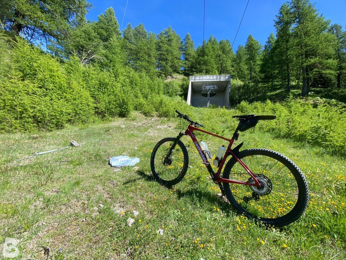 Cannondale Scalpel HT Carbon 2 2022