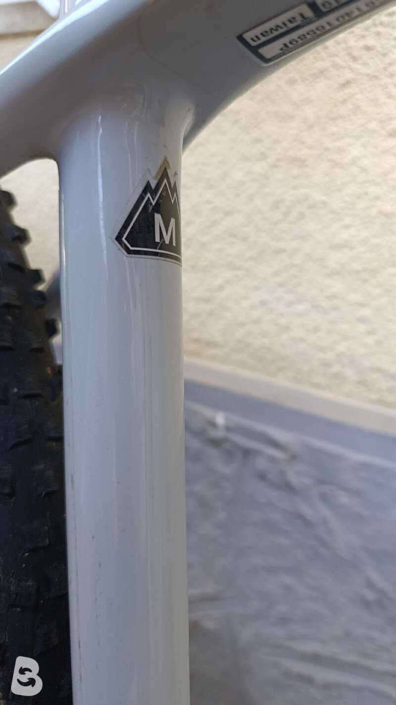 Specialized EPIC HT S'WORKS 2020