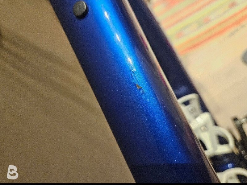 Trek Domane SLR 6 Gen 4 2024