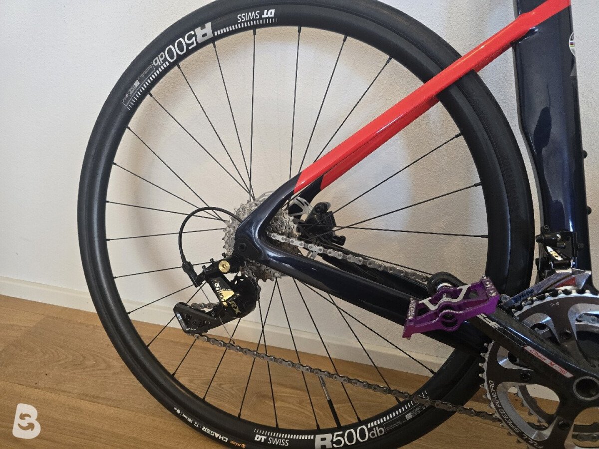 Drag Celerra DB 2024