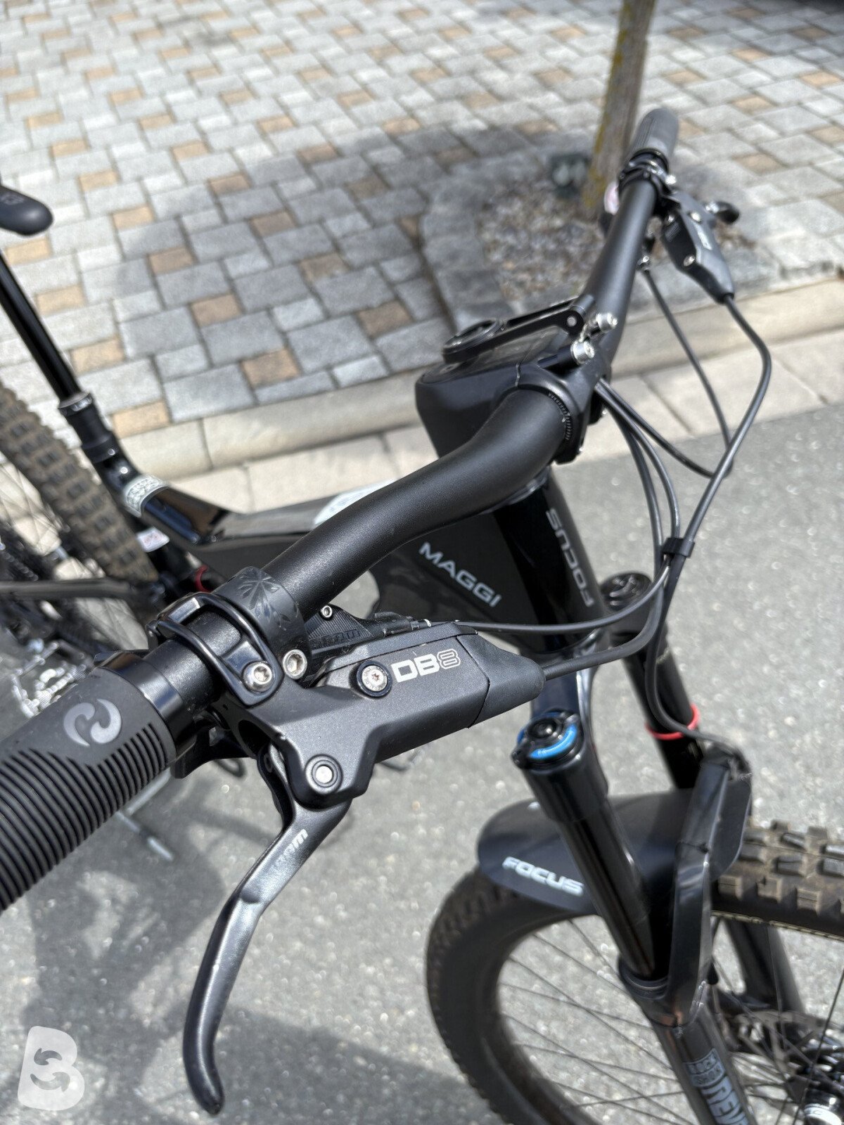 Focus Jam 8.8 2023
