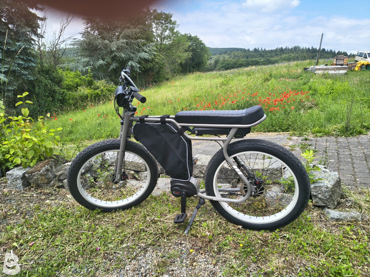 Ruff Cycles Biggie 2023