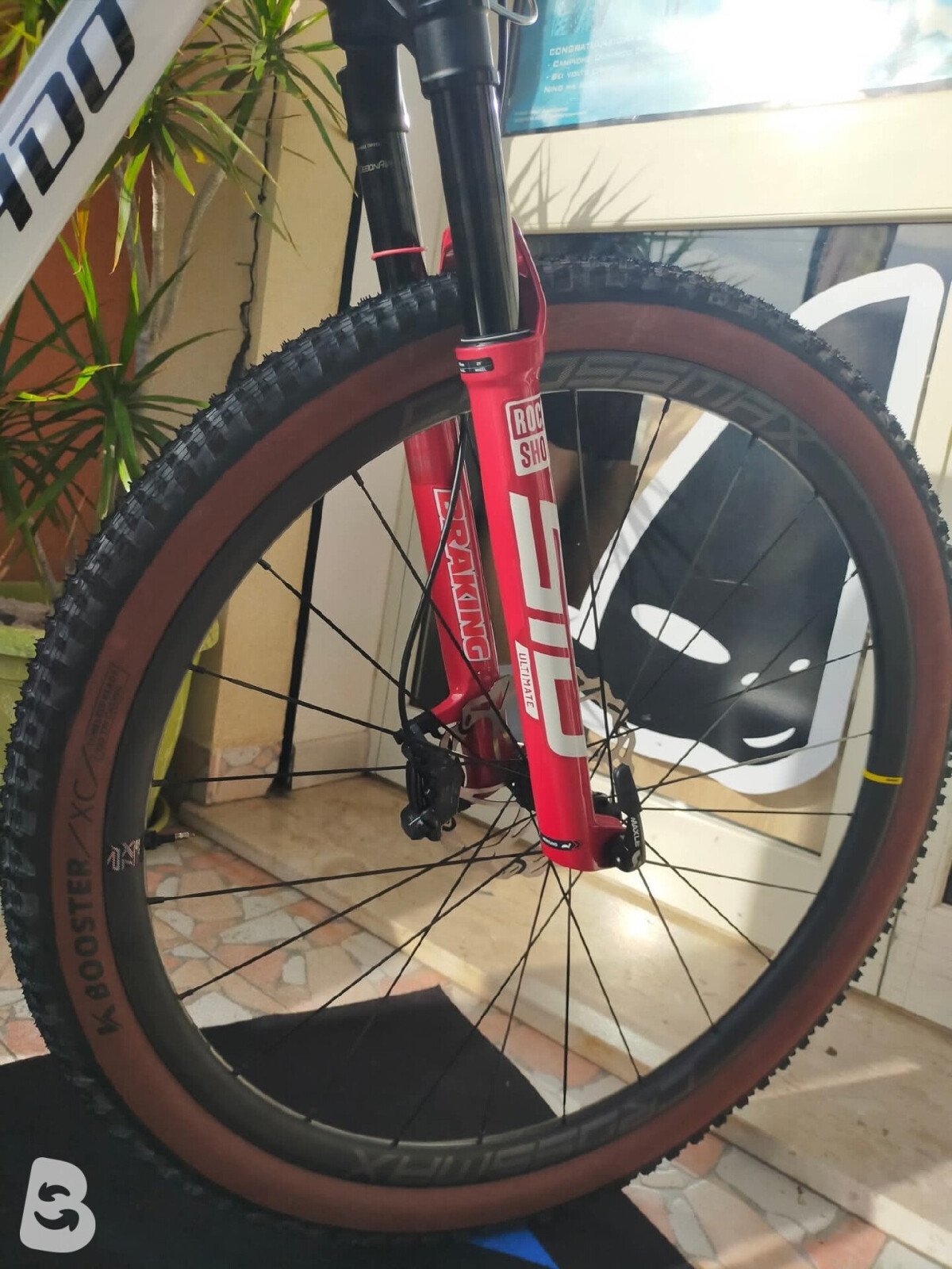 Torpado Te NeroR 2026