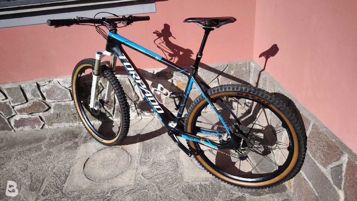 Torpado Nearco S 2017
