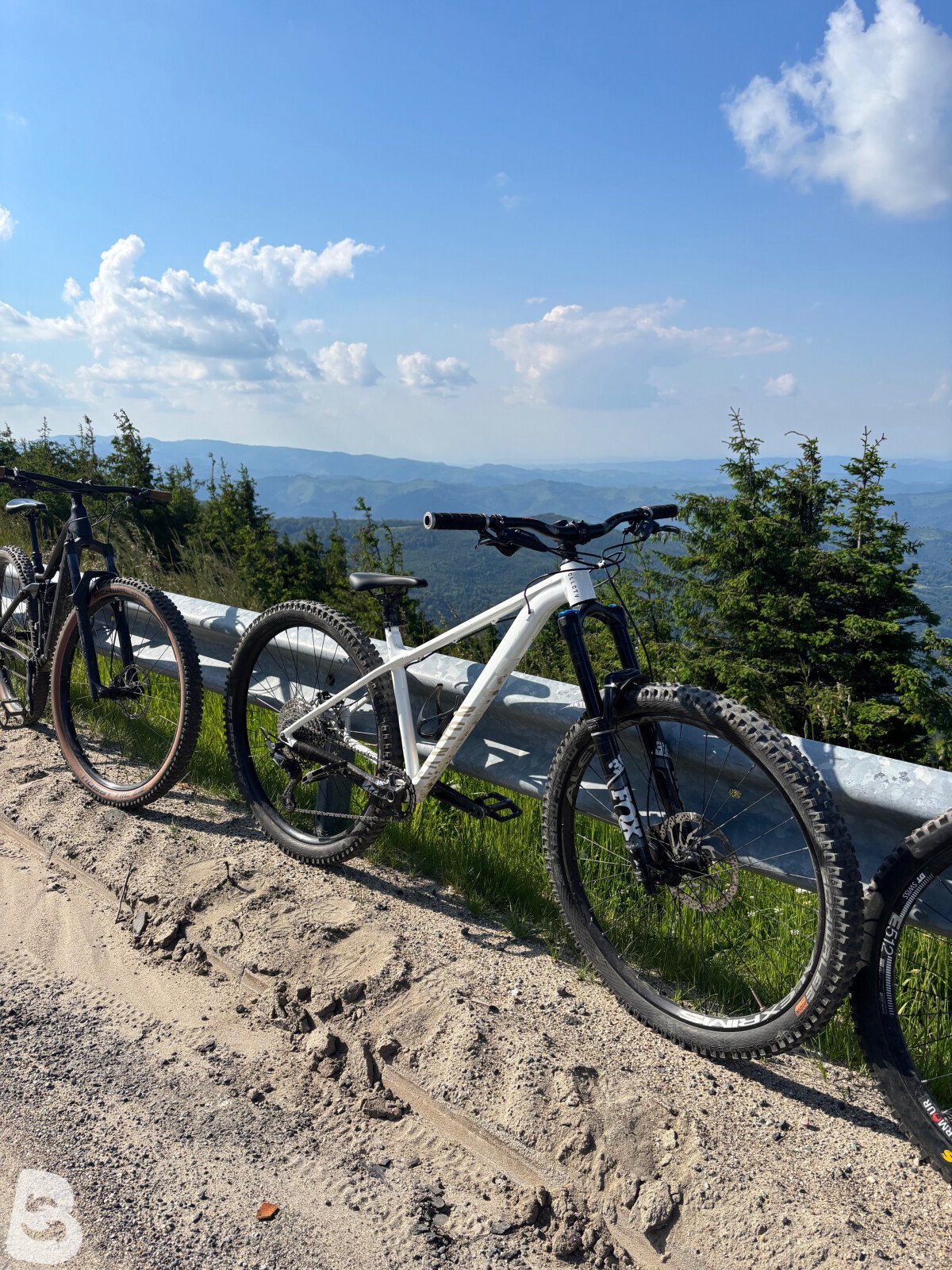 Canyon Stoic 2 2024